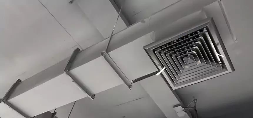 Our Rodent Droppings In Vents Services in Santa Fe Springs, CA