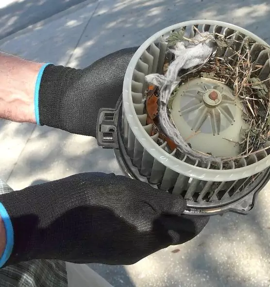 About Air Duct Rat Removal in Santa Fe Springs, CA