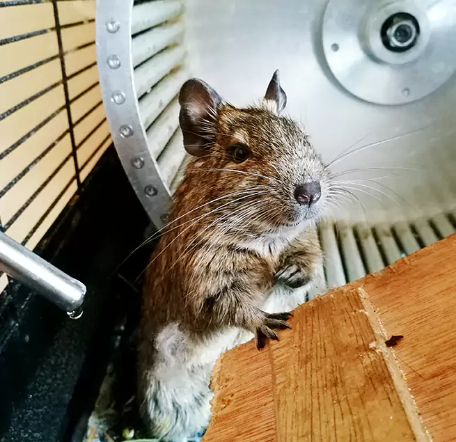 Why Homeowners & Businesses Trust Us Santa Fe Springs, CA